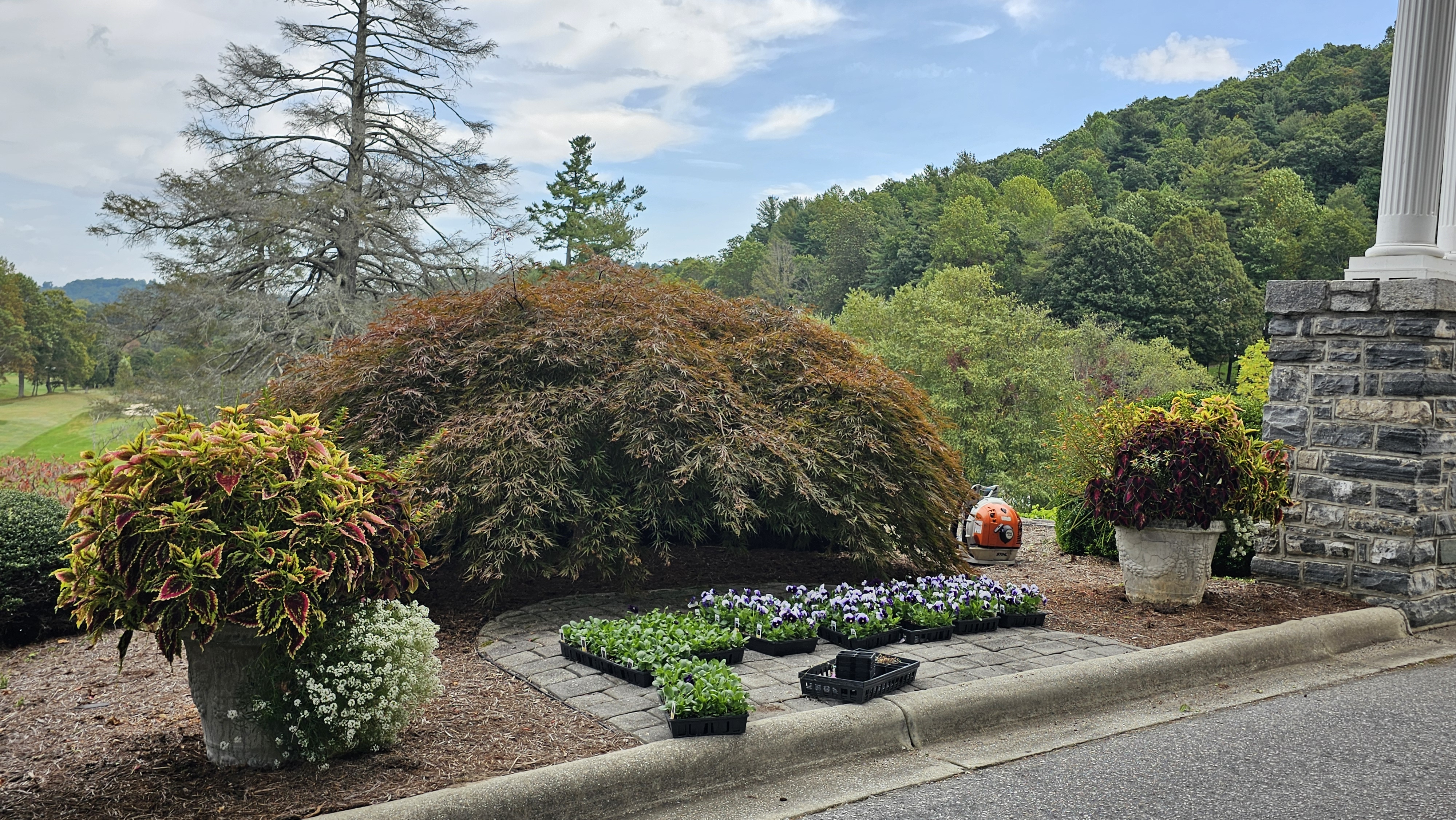 Garden Sage team caring for ornate plantings