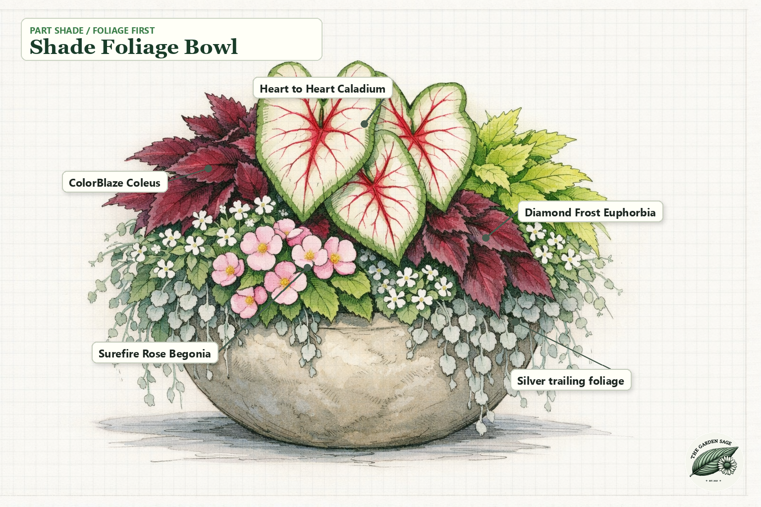 Shade Foliage Bowl sketch with caladium, coleus, begonia, euphorbia, and silver trailing foliage labels