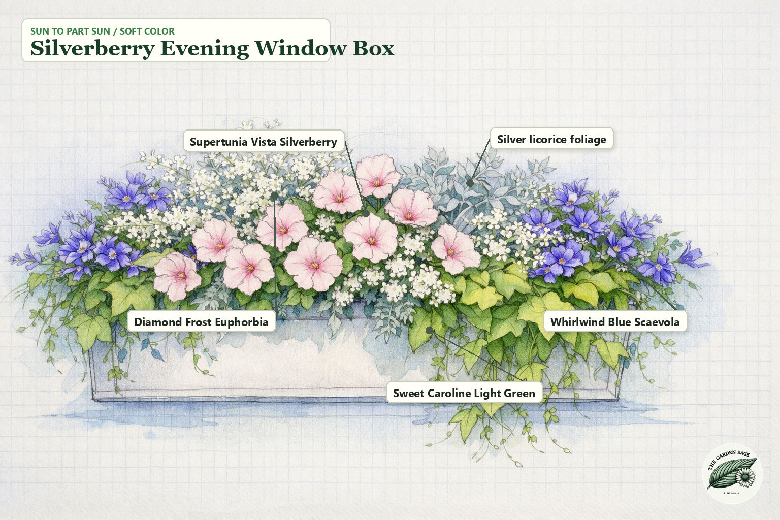 Silverberry Evening Window Box sketch with Supertunia, euphorbia, silver foliage, scaevola, and sweet potato vine labels