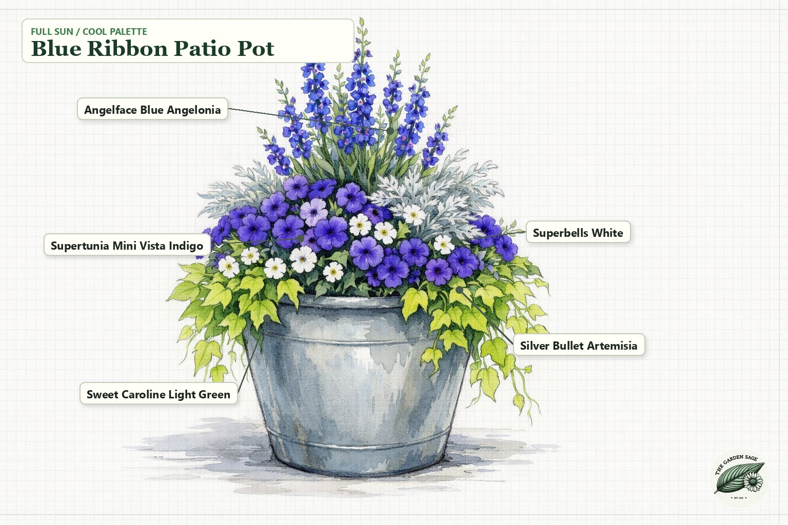 Blue Ribbon Patio Pot sketch with angelonia, petunia, calibrachoa, artemisia, and sweet potato vine labels