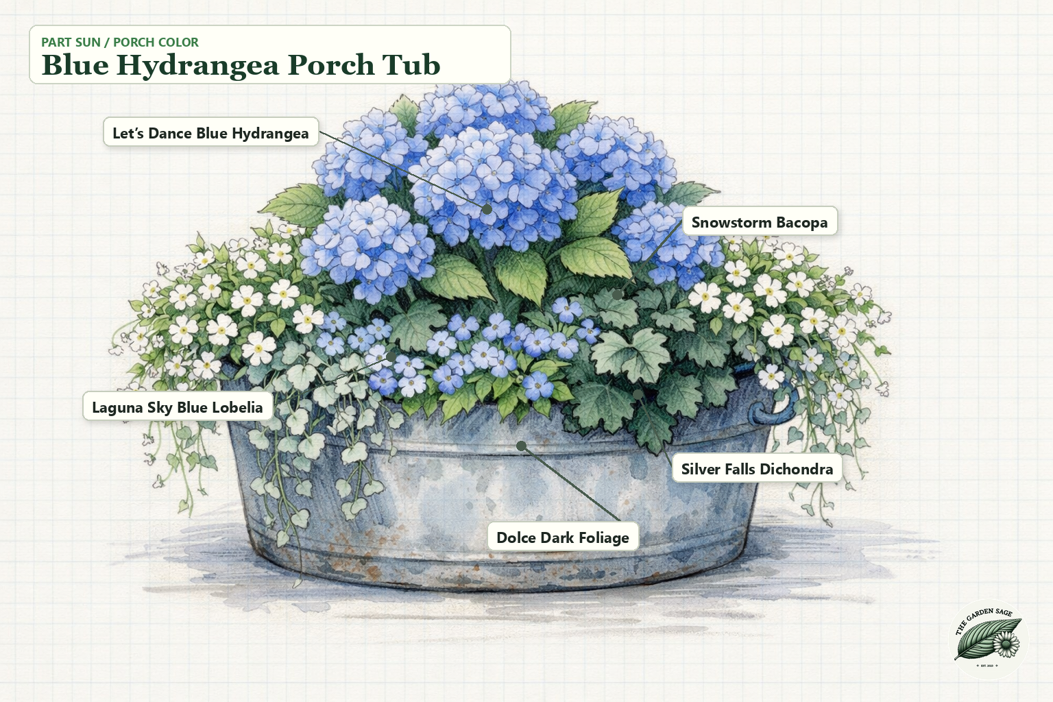 Blue Hydrangea Porch Tub sketch with hydrangea, bacopa, dichondra, lobelia, and dark foliage labels