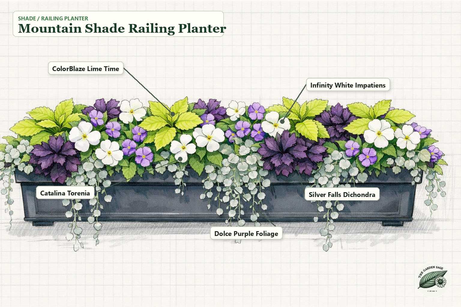 Mountain Shade Railing Planter sketch with coleus, impatiens, torenia, dichondra, and purple foliage labels
