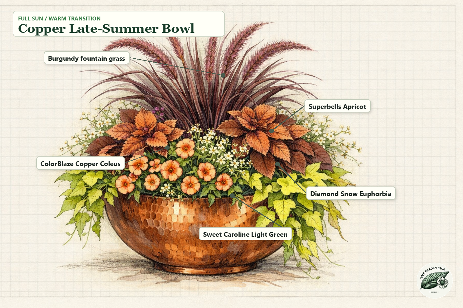 Copper Late-Summer Bowl sketch with burgundy grass, calibrachoa, coleus, euphorbia, and sweet potato vine labels