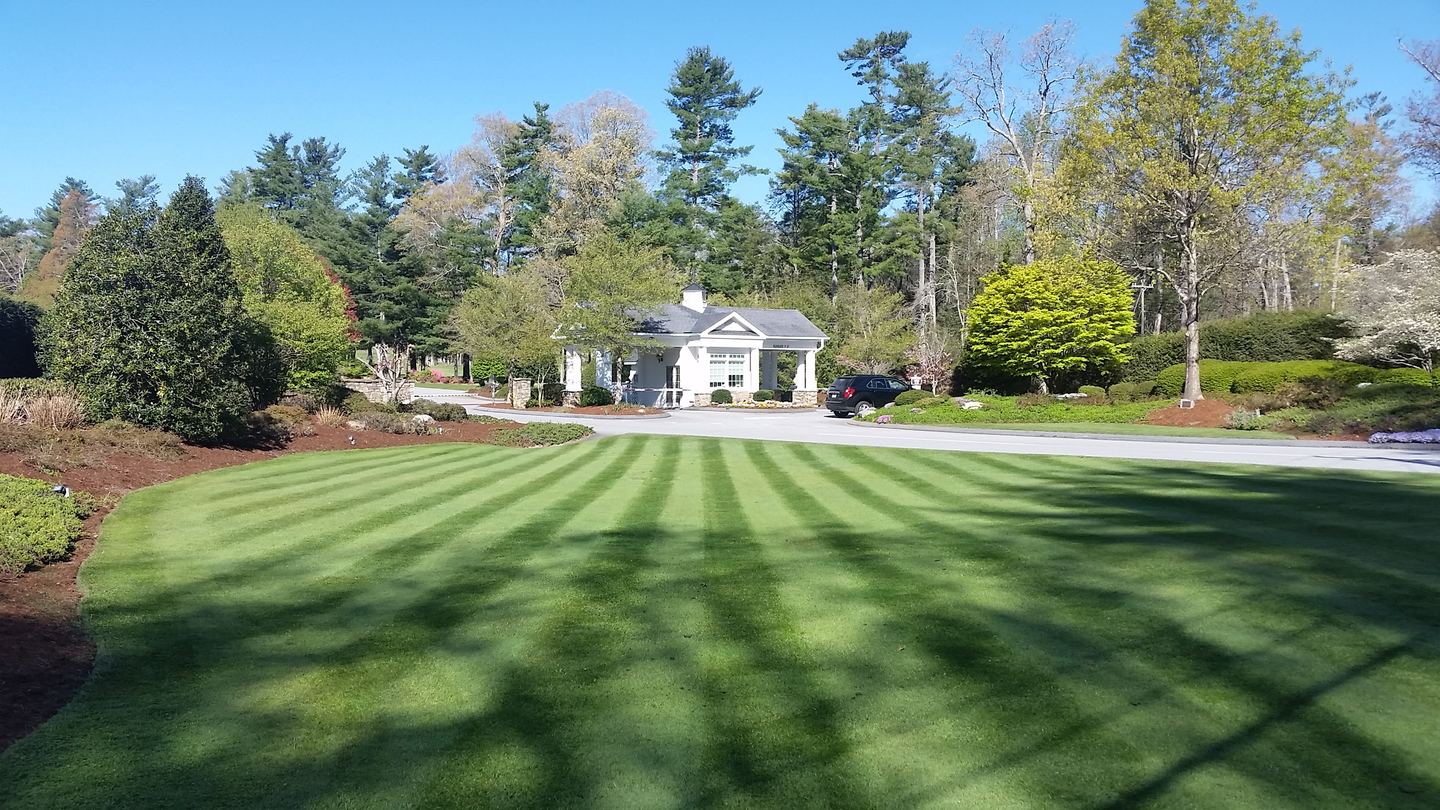 Healthy turf and established landscape under professional care