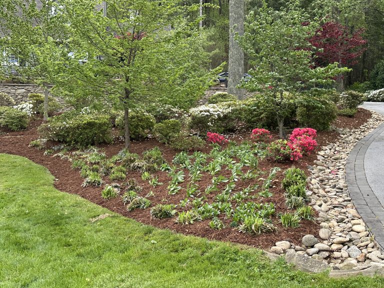 Freshly mulched curved spring bed with shrubs and river stone edging