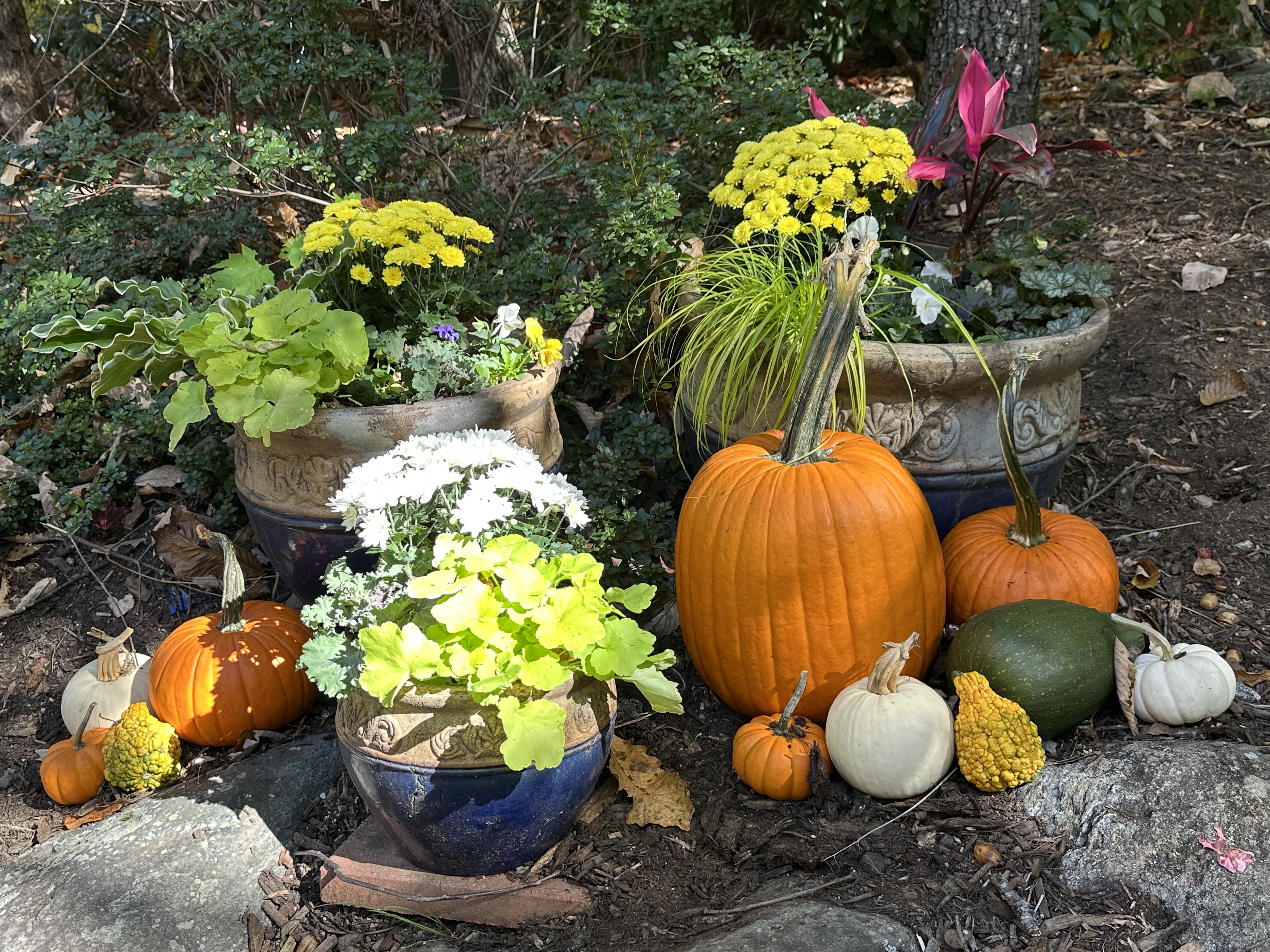Woodland garden bed with pumpkins and colorful containers